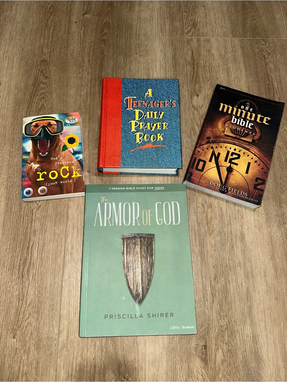 Christian Teen Devotional Book Lot - Blue, Red, Teal, Brown Covers